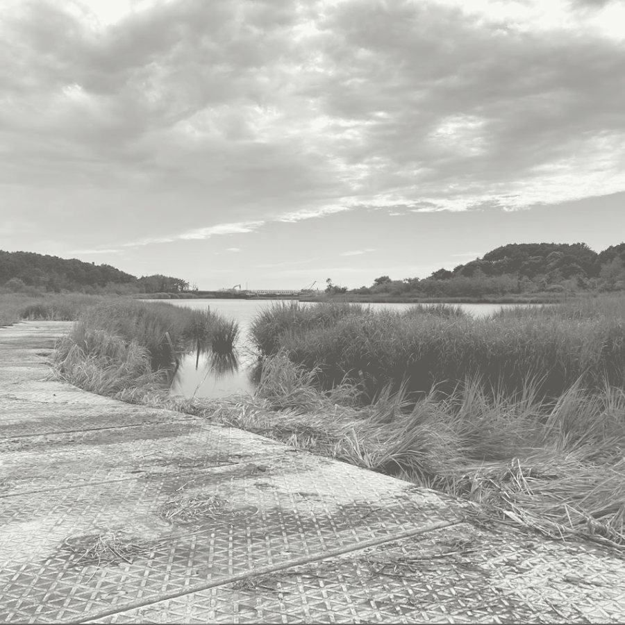 Salt marsh grass along the Herring River in Wellfleet under a wide sky