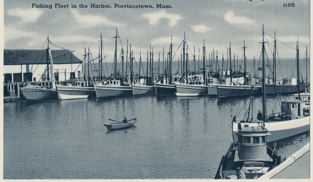 Old postcard: the fishing fleet in Provincetown harbor