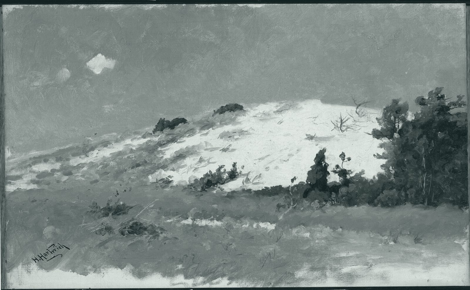 Painting of a pale Cape Cod sand dune with grass and scrub at its foot under a blue sky