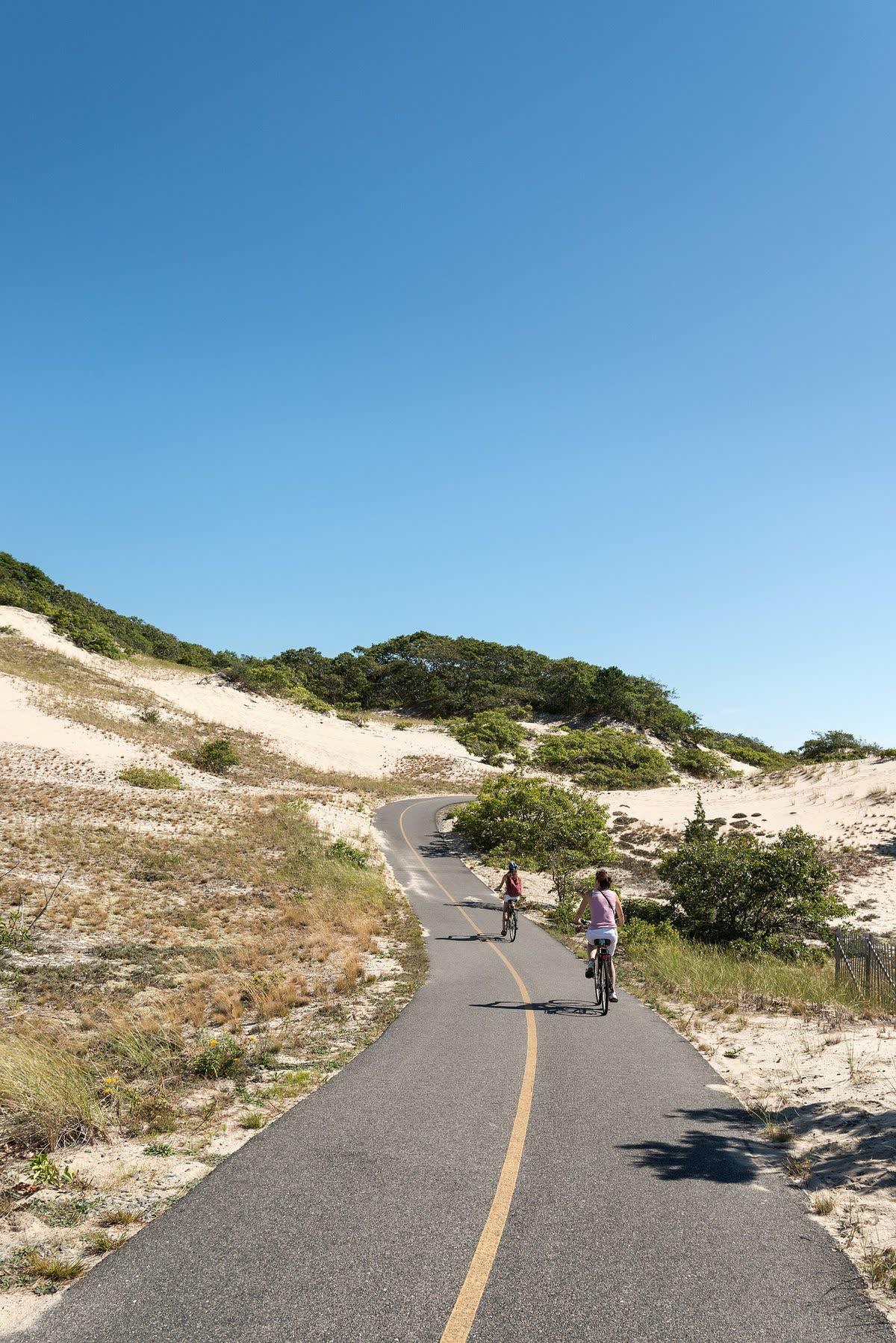 Two cyclists on the Province Lands Bike Trail, winding between sand dunes