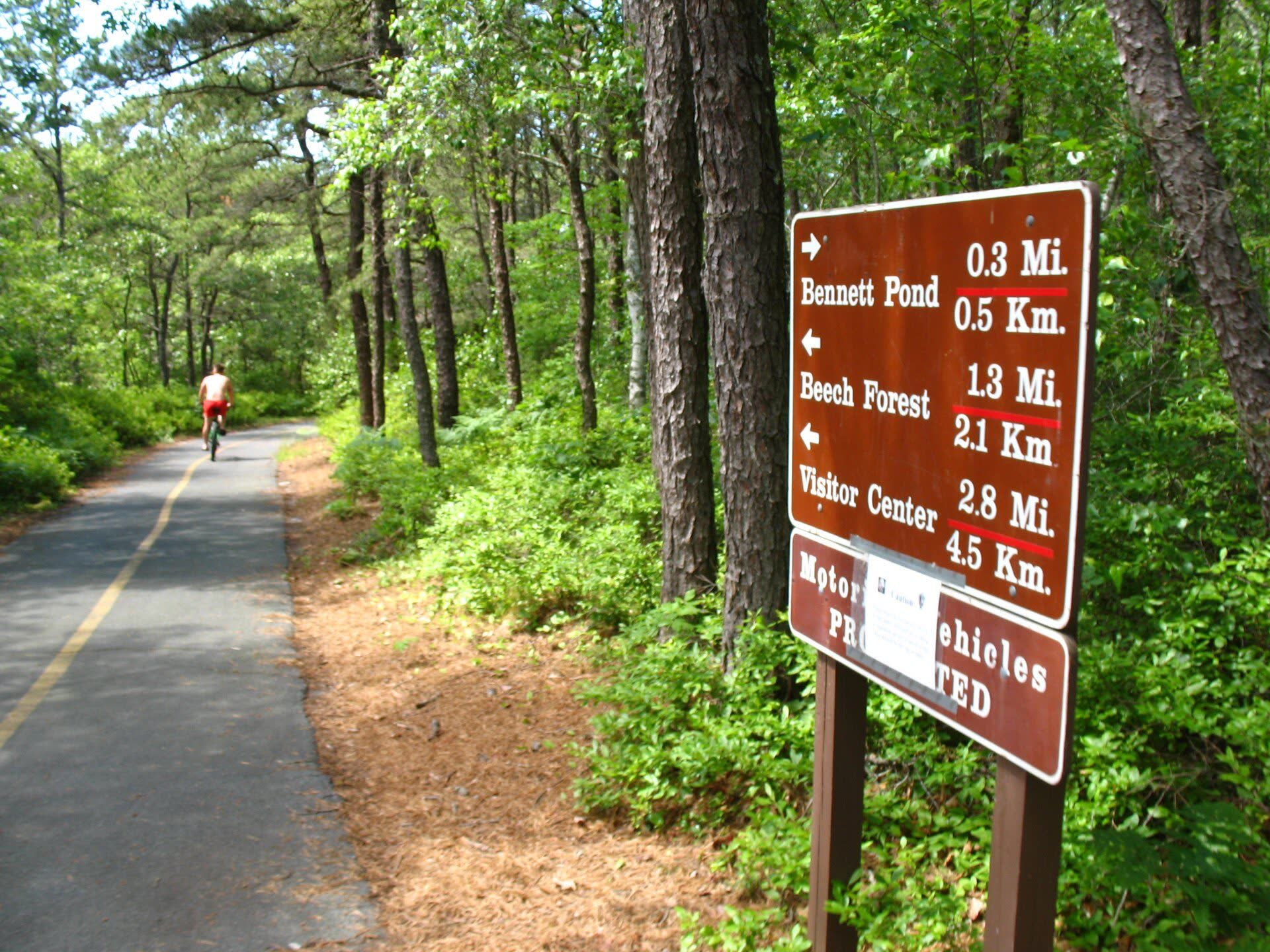 A cyclist rides the Province Lands bike trail through the pines, past a trail sign