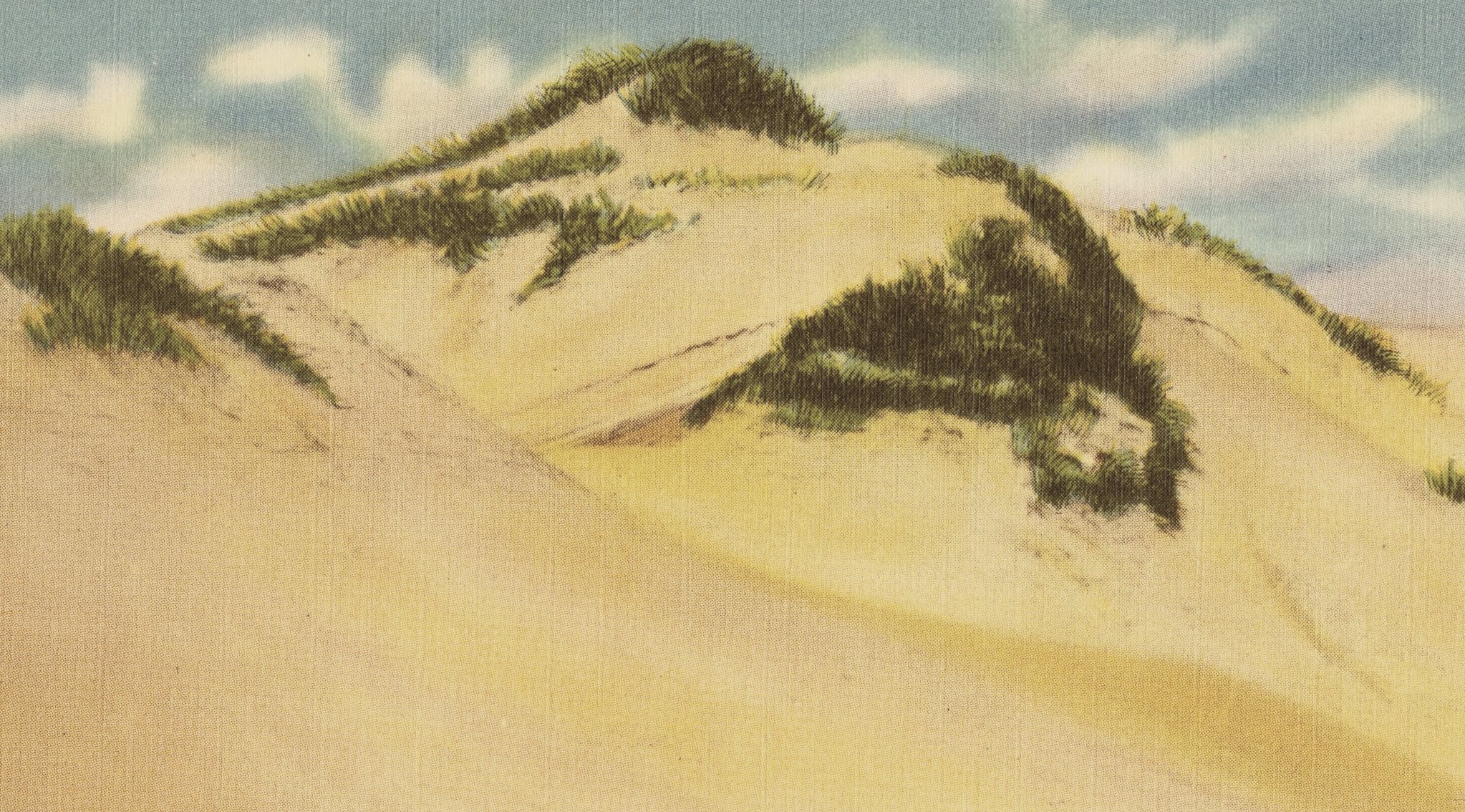 Hand-tinted postcard: a tall dune crest with beachgrass, Cape Cod, about 1930 to 1945