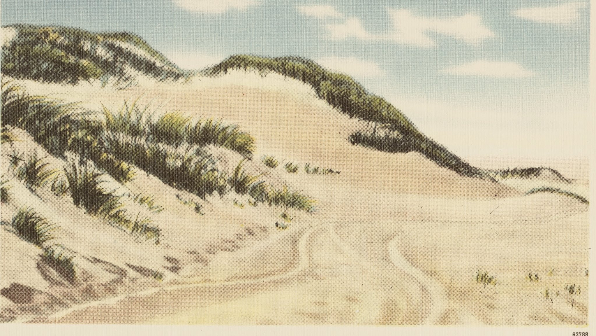 Hand-tinted postcard: a sand track running through the dunes under a big blue sky