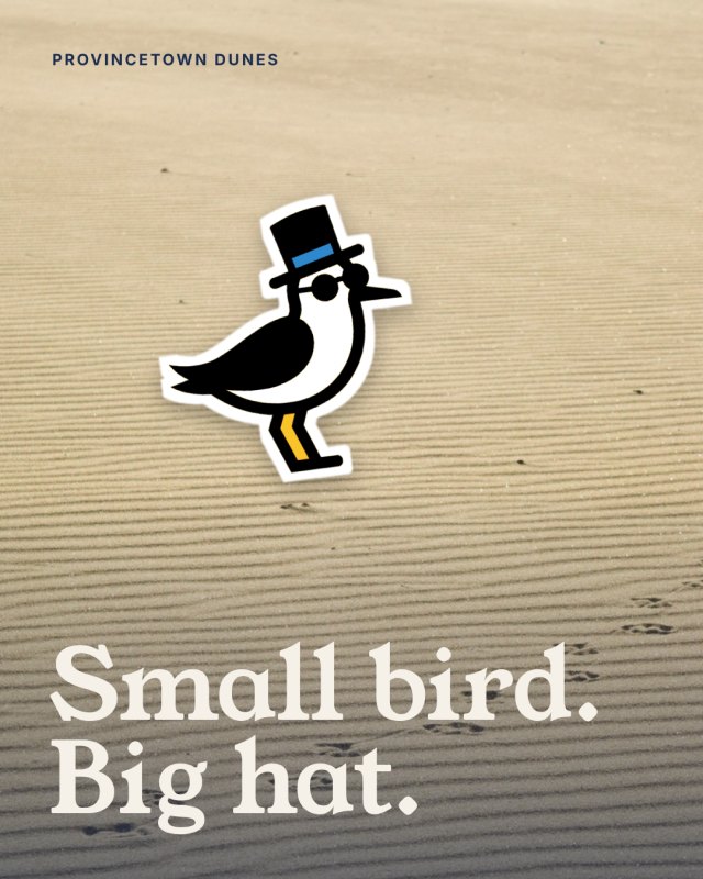 Keep Cape Odd post: the dapper bird as a sticker on dune sand, “Small bird. Big hat.”