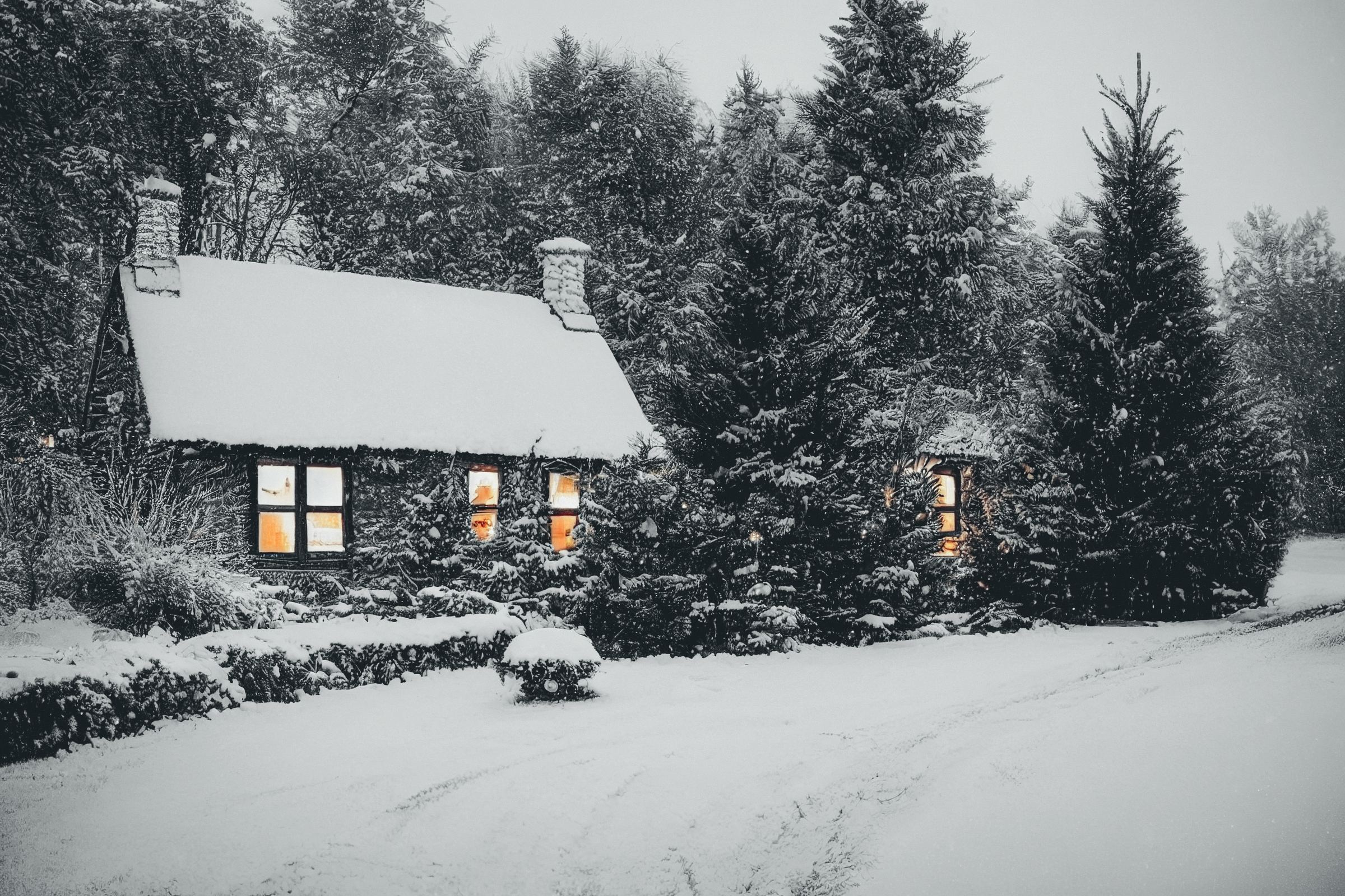 A small cottage in snow under tall firs, printed grey: only its lit windows keep their warm colour.